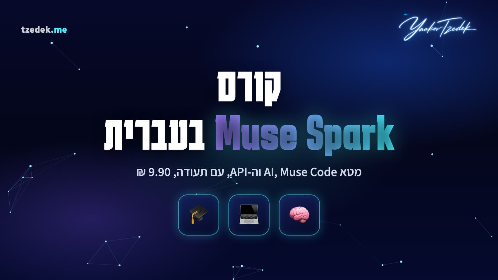 טרמינל של Muse Code עם תוכנית מאושרת, לצד טבלת מסלולי התמחור של Meta Model API